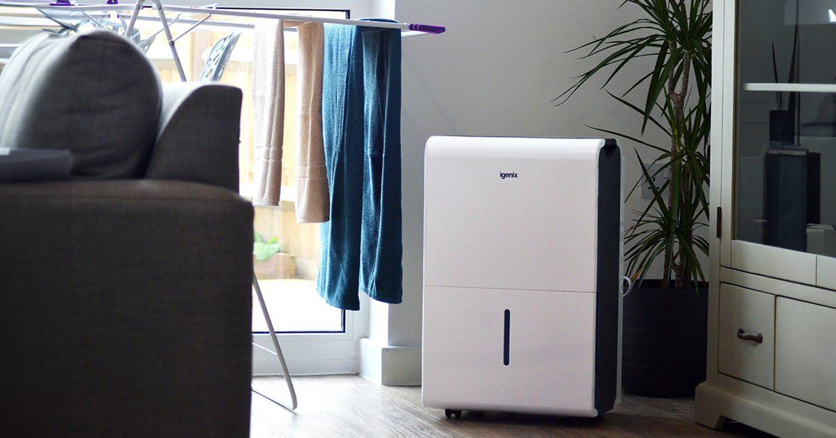 How to Use a Dehumidifier to Prevent Damp and Mould